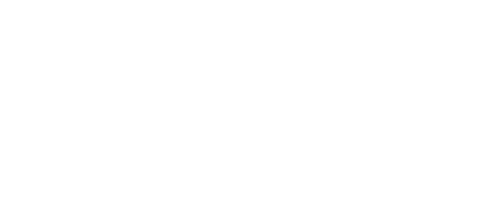 TRAITEUR